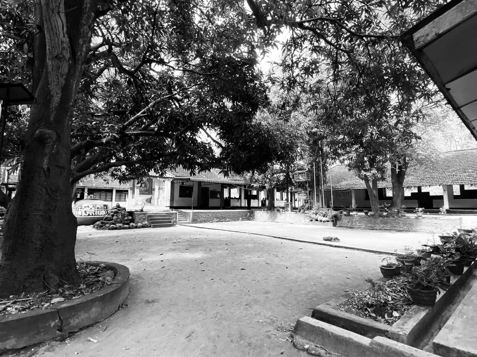 පාසලේ ඉතිහාසය